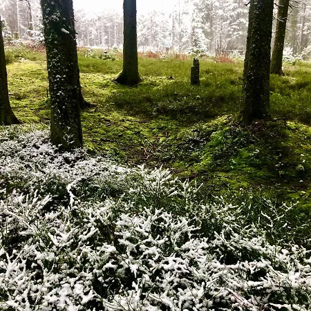 Apartmán Kilián - Prenet Kvilda